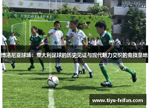 博洛尼亚球场：意大利足球的历史见证与现代魅力交织的竞技圣地