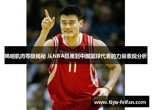 姚明肌肉等级揭秘 从NBA巨星到中国篮球代表的力量表现分析